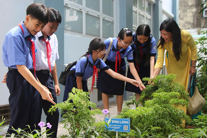 Sở GD-ĐT TP.HCM: Trường được sắp xếp dạy hơn 7 tiết/ngày