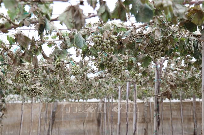 Mưa lũ miền Trung – Tây Nguyên: Ước tính thiệt hại hơn 13.000 tỷ đồng