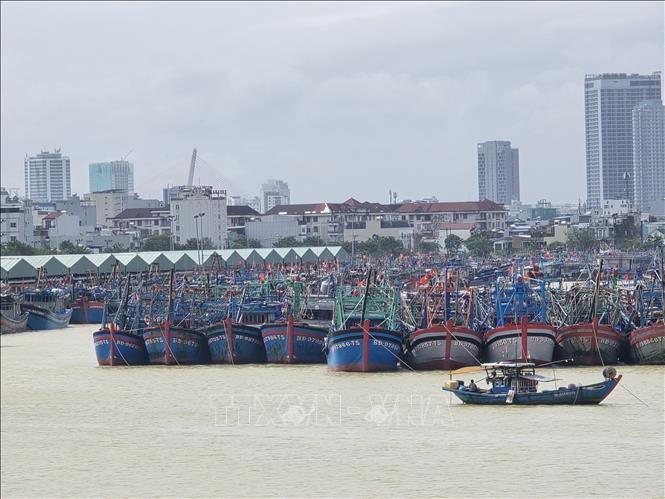 Thủ tướng Chính phủ yêu cầu tập trung triển khai các biện pháp khẩn cấp ứng phó bão số 13