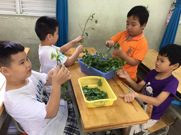 Quan tâm dạy trẻ làm các việc chân tay