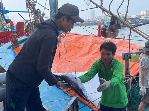 Giải pháp cứu sinh mạng ngư dân từ những hầm tàu kín