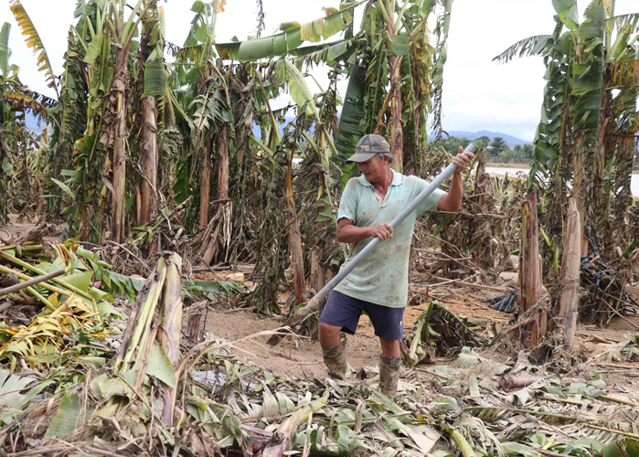Nông dân gượng dậy sau lũ