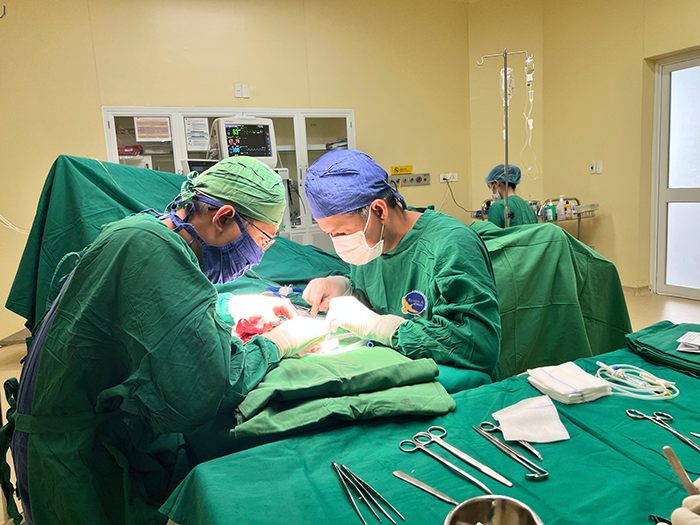 TP.HCM: Thực hiện nhiều ca nối lại tay chân thành công sau tai nạn lao động