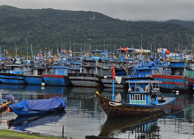 Âu thuyền Thọ Quang: “Điểm nóng” ô nhiễm môi trường  đã hạ nhiệt