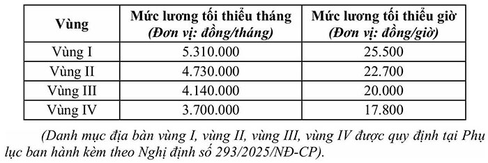 Bảo hiểm xã hội TP.HCM hướng dẫn thực hiện mức đóng bảo hiểm theo lương tối thiểu vùng từ 1-1-2026