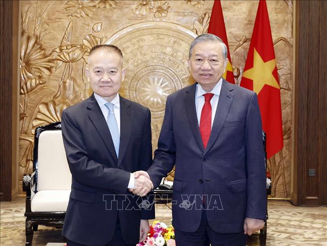 Tổng Bí thư Tô Lâm tiếp Đặc phái viên của Tổng Bí thư, Chủ tịch nước Trung Quốc Tập Cận Bình