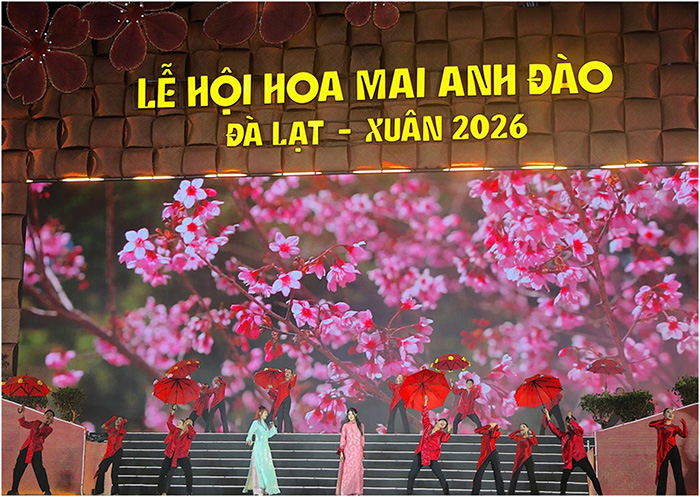 Khai mạc Lễ hội hoa Mai anh đào Đà Lạt – Xuân 2026