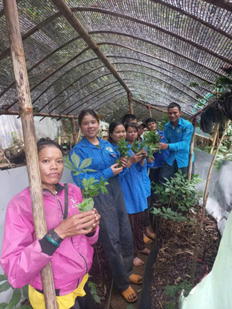 Người “giữ lửa” giữa rừng sâm Trà Linh