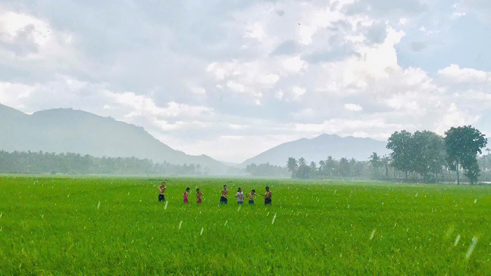 Mùi… hương đồng cuối năm ở xóm núi