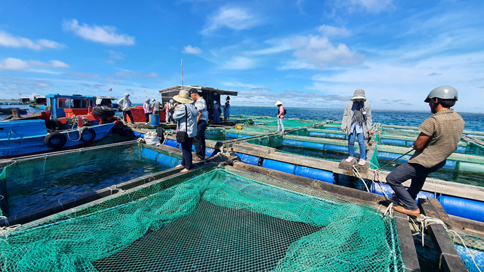 Sinh kế mới giữa lòng biển