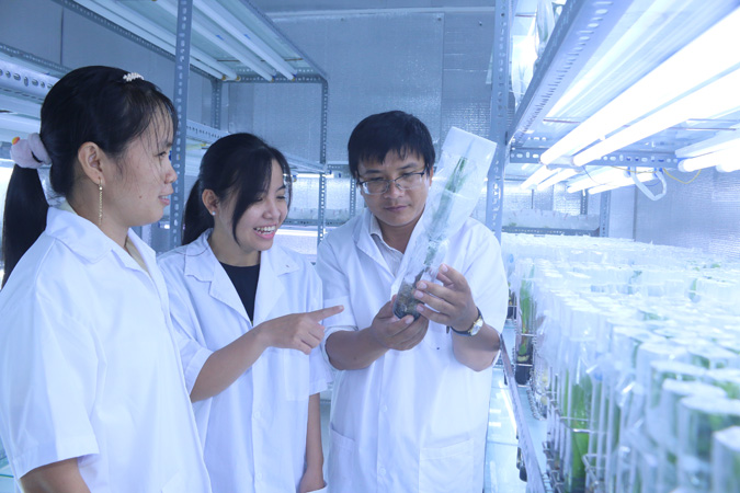 TP.HCM: Nâng cao tiềm lực khoa học và công nghệ giai đoạn 2026-2030