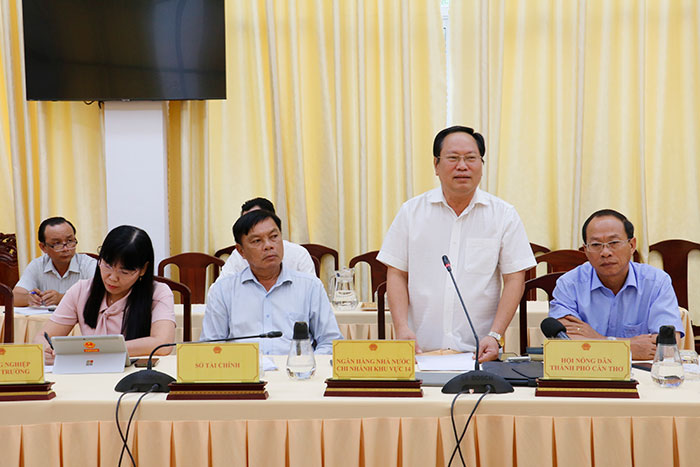 Tháo gỡ khó khăn trong sản xuất, kinh doanh lúa gạo