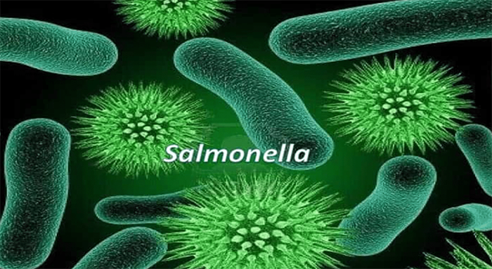 TP.HCM xác định vi khuẩn trong vụ ngộ độc tập thể tại trường học