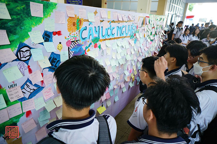 Độc đáo “Cây ước nguyện” tại Trường THPT Võ Thị Sáu